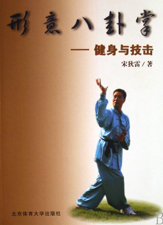 形意八卦掌（2007年北京体育大学出版社出版的图书）