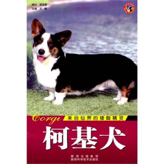 世界名犬：柯基犬