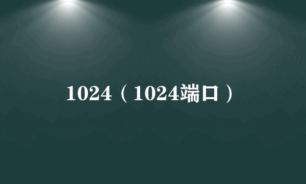 1024（1024端口）