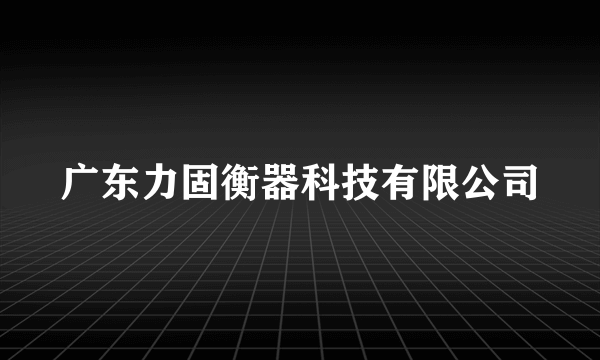 广东力固衡器科技有限公司