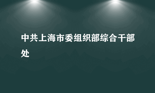 中共上海市委组织部综合干部处