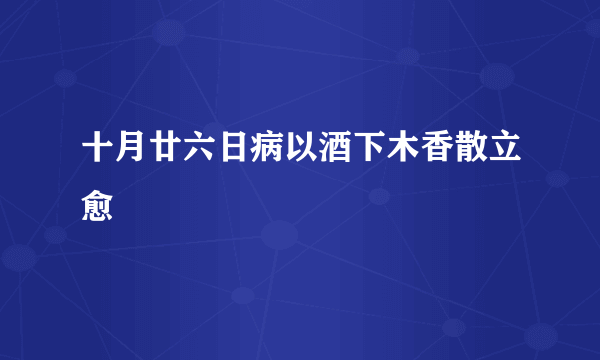 十月廿六日病以酒下木香散立愈