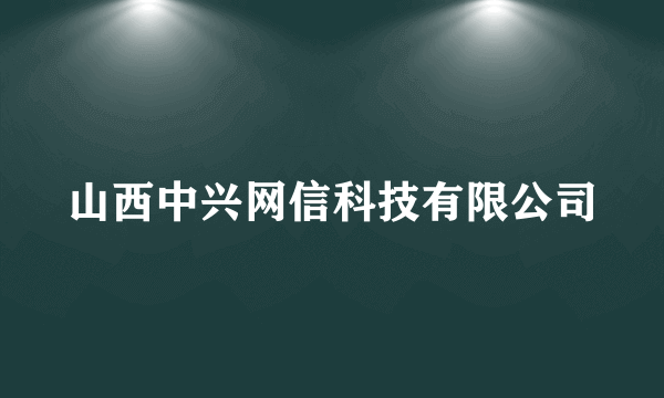 山西中兴网信科技有限公司