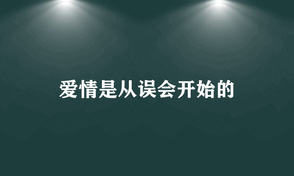 爱情是从误会开始的