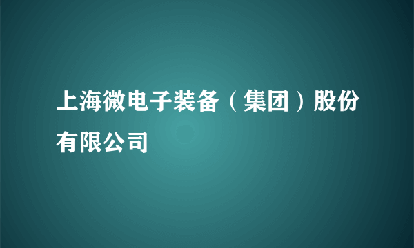 上海微电子装备（集团）股份有限公司