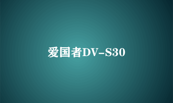 爱国者DV-S30