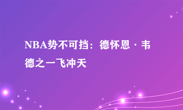 NBA势不可挡：德怀恩·韦德之一飞冲天