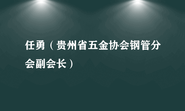 任勇（贵州省五金协会钢管分会副会长）