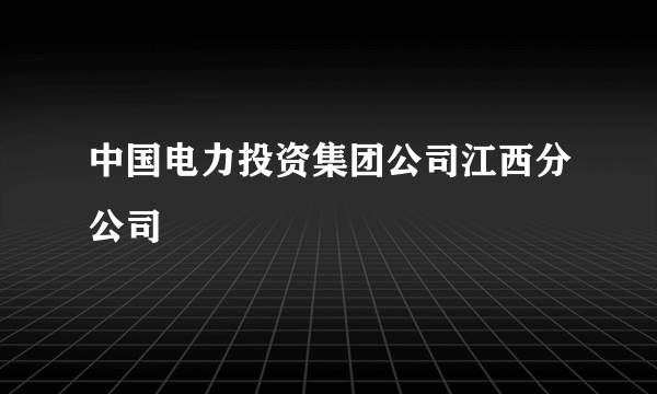 中国电力投资集团公司江西分公司