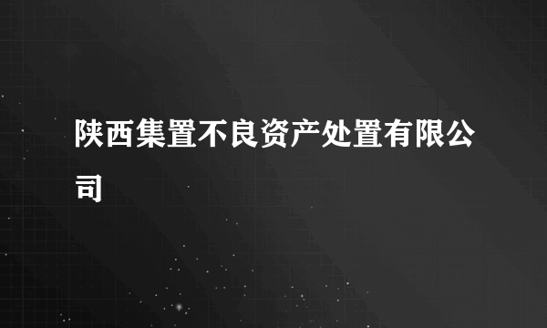 陕西集置不良资产处置有限公司