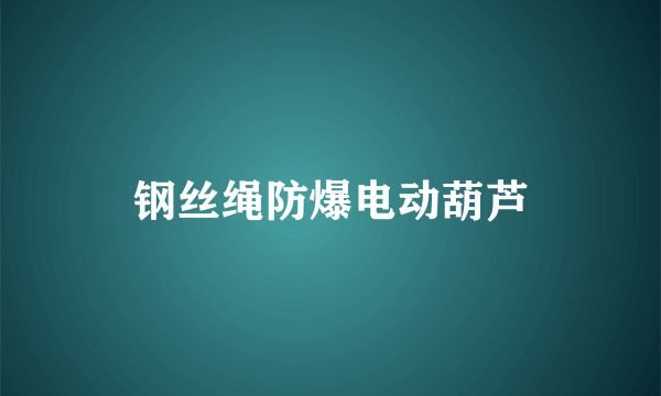 钢丝绳防爆电动葫芦