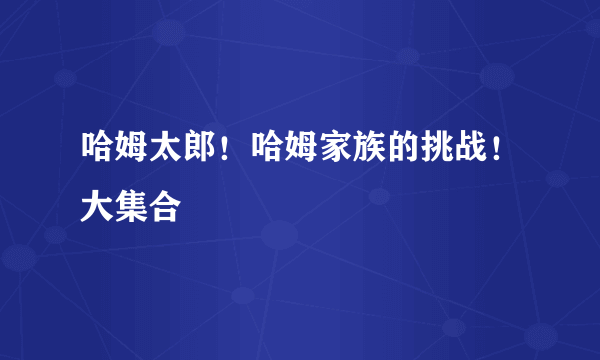 哈姆太郎！哈姆家族的挑战！大集合