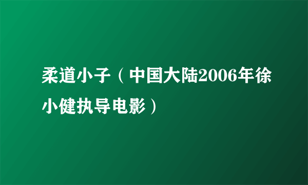 柔道小子（中国大陆2006年徐小健执导电影）