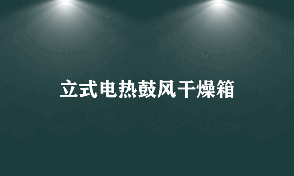 立式电热鼓风干燥箱