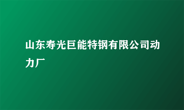 山东寿光巨能特钢有限公司动力厂