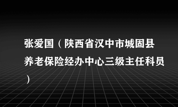 张爱国（陕西省汉中市城固县养老保险经办中心三级主任科员）