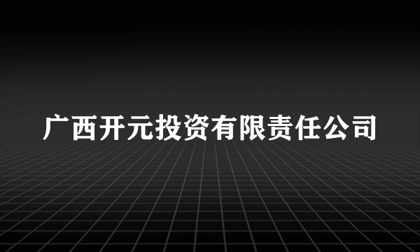 广西开元投资有限责任公司