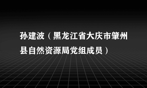 孙建波（黑龙江省大庆市肇州县自然资源局党组成员）