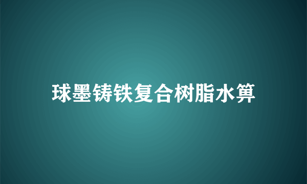 球墨铸铁复合树脂水箅