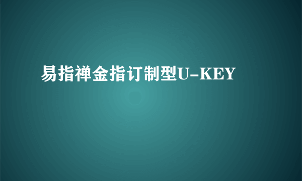 易指禅金指订制型U-KEY