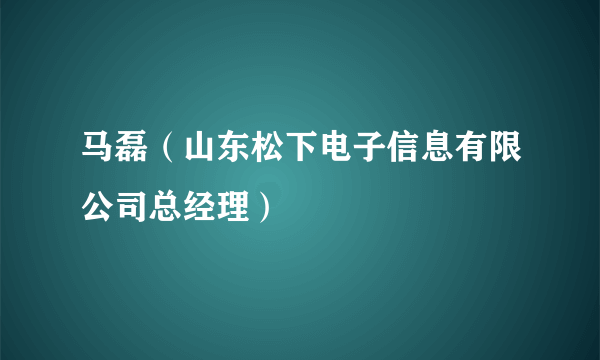 马磊（山东松下电子信息有限公司总经理）