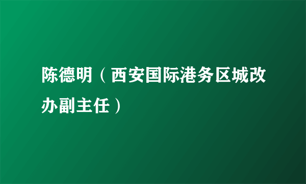 陈德明（西安国际港务区城改办副主任）