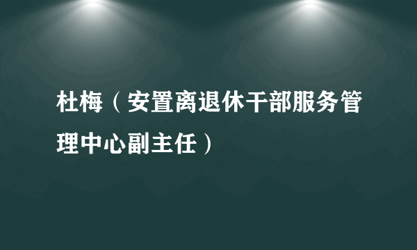 杜梅（安置离退休干部服务管理中心副主任）