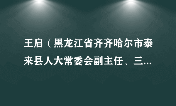 王启（黑龙江省齐齐哈尔市泰来县人大常委会副主任、三级调研员）