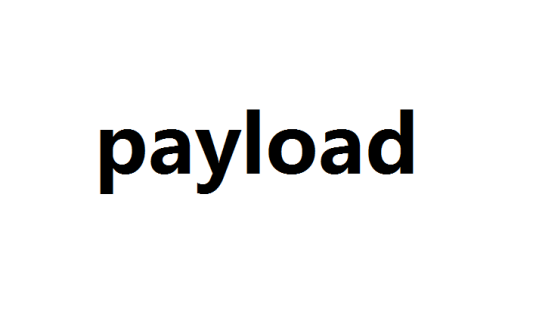 payload