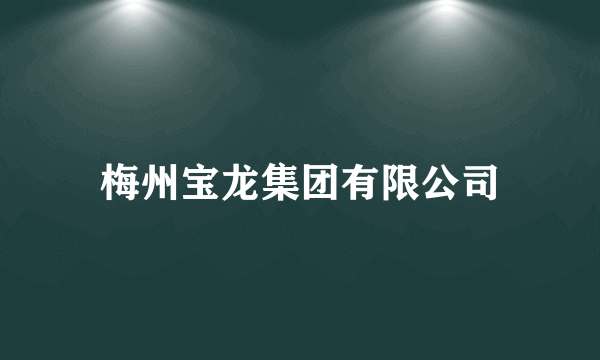 梅州宝龙集团有限公司