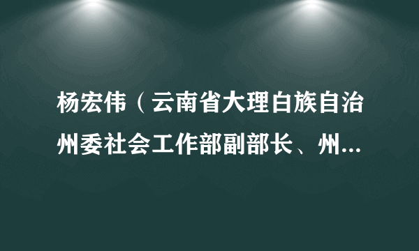 杨宏伟（云南省大理白族自治州委社会工作部副部长、州政府副秘书长、州信访局党组书记、局长）