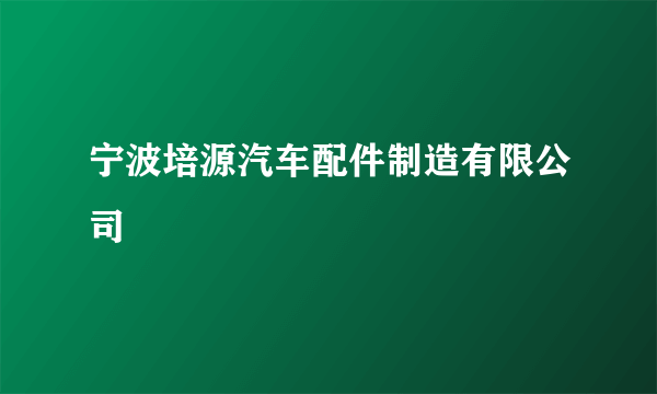 宁波培源汽车配件制造有限公司