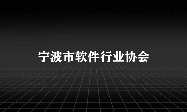 宁波市软件行业协会