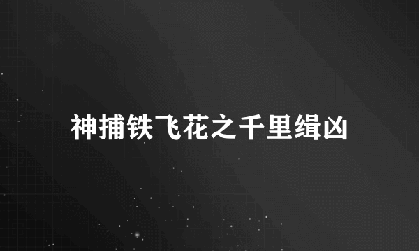 神捕铁飞花之千里缉凶