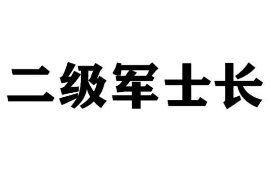 二级军士长