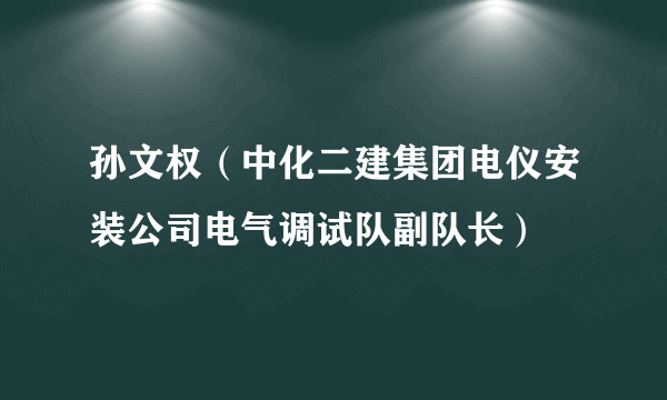 孙文权（中化二建集团电仪安装公司电气调试队副队长）