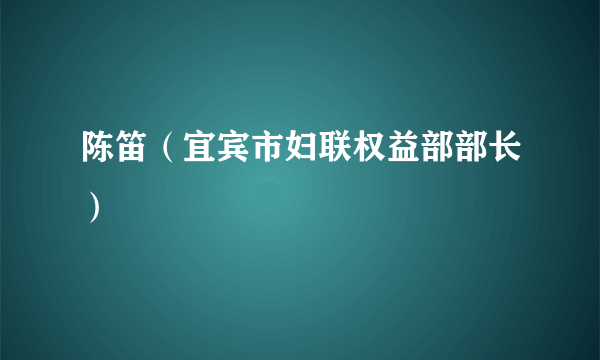 陈笛（宜宾市妇联权益部部长）