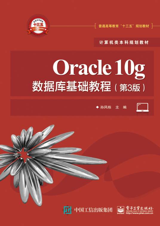 Oracle10g数据库基础教程（第3版）