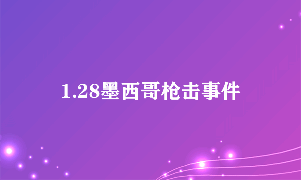 1.28墨西哥枪击事件