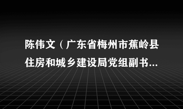 陈伟文（广东省梅州市蕉岭县住房和城乡建设局党组副书记、副局长、三级主任科员）