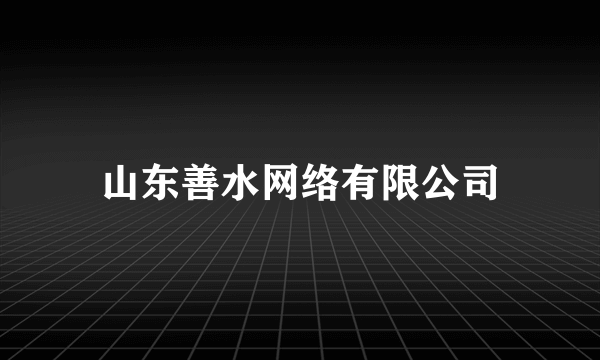 山东善水网络有限公司