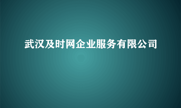 武汉及时网企业服务有限公司