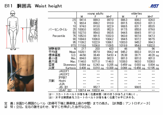 腰围高