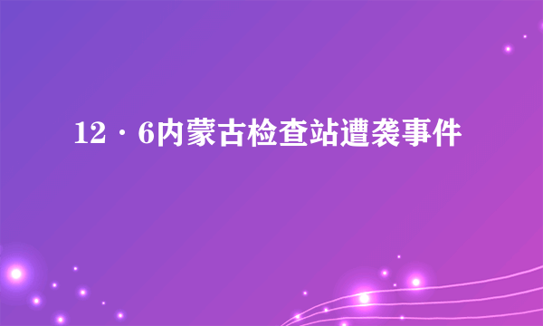 12·6内蒙古检查站遭袭事件