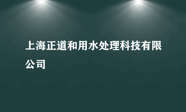 上海正道和用水处理科技有限公司