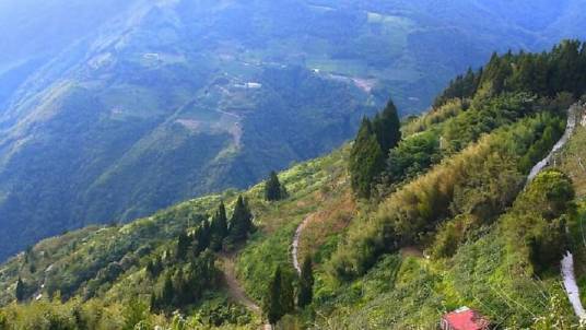 达观山（拉拉山）自然保护区