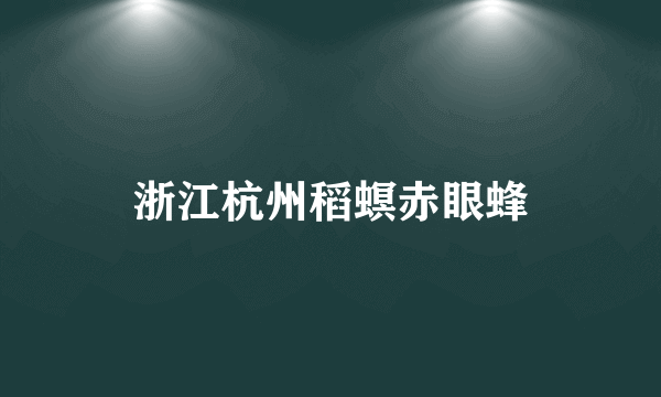 浙江杭州稻螟赤眼蜂