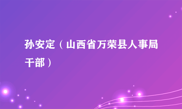 孙安定（山西省万荣县人事局干部）