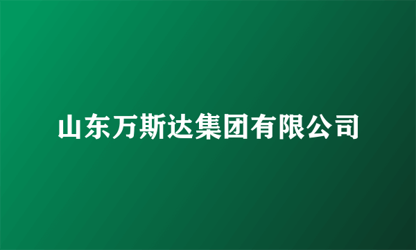 山东万斯达集团有限公司