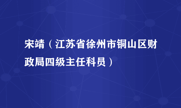 宋靖（江苏省徐州市铜山区财政局四级主任科员）